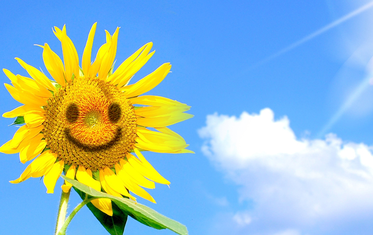 社會責任 社會責任